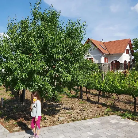 Διαμέρισμα Villo Badacsonytomaj