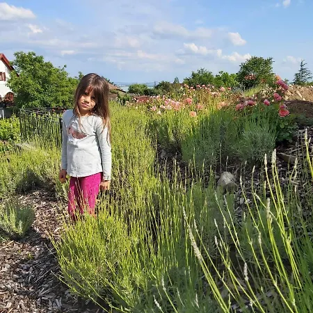 Апартаменты Villo