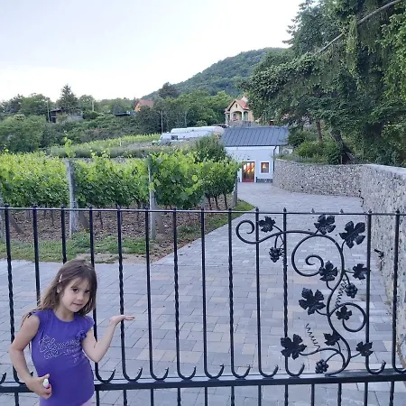Apartman Villő *